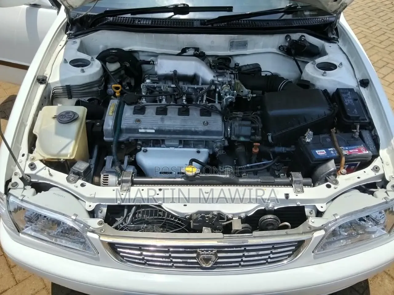 Toyota Corolla 2000 White