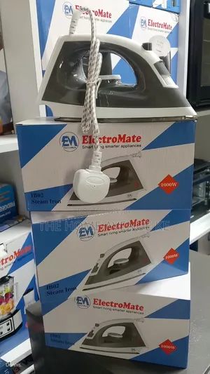 Electromate Steam Iron Box