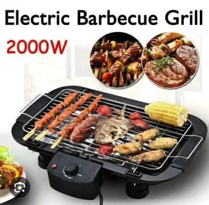 2000W Electric BBQ Grill