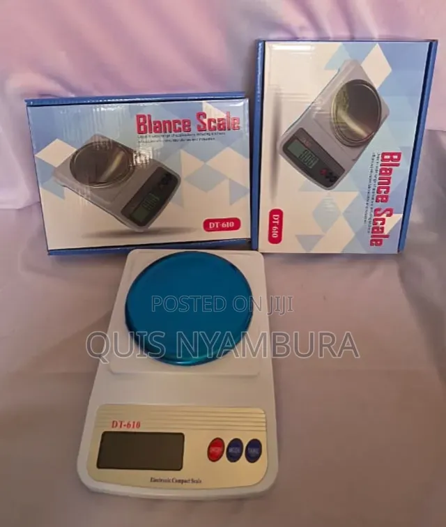 DT-610 Digital 1000gm Electronic Balance Scale