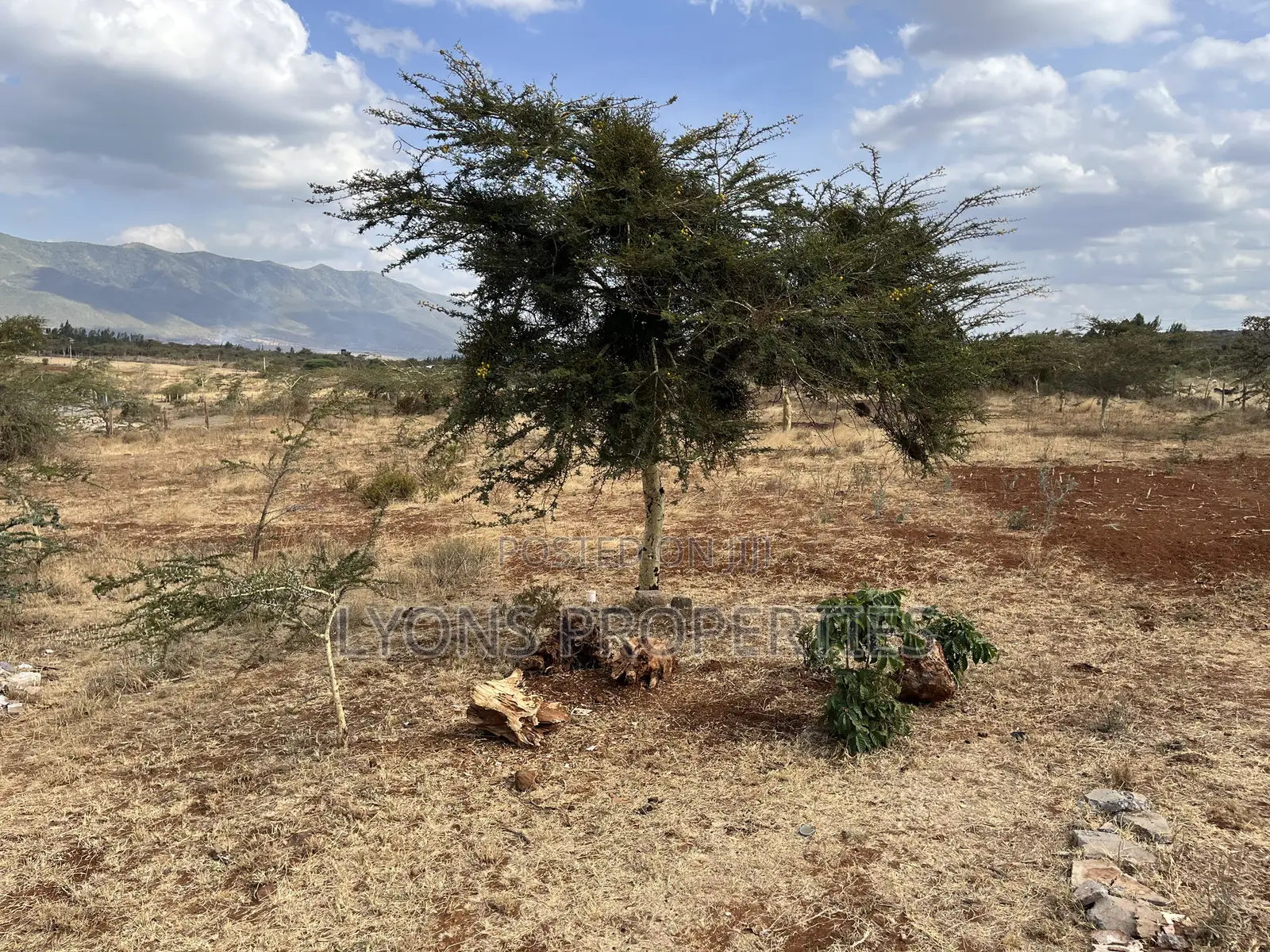 1/8 Acres Land for Sale in Kimuka
