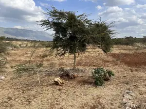1/8 Acres Land for Sale in Kimuka