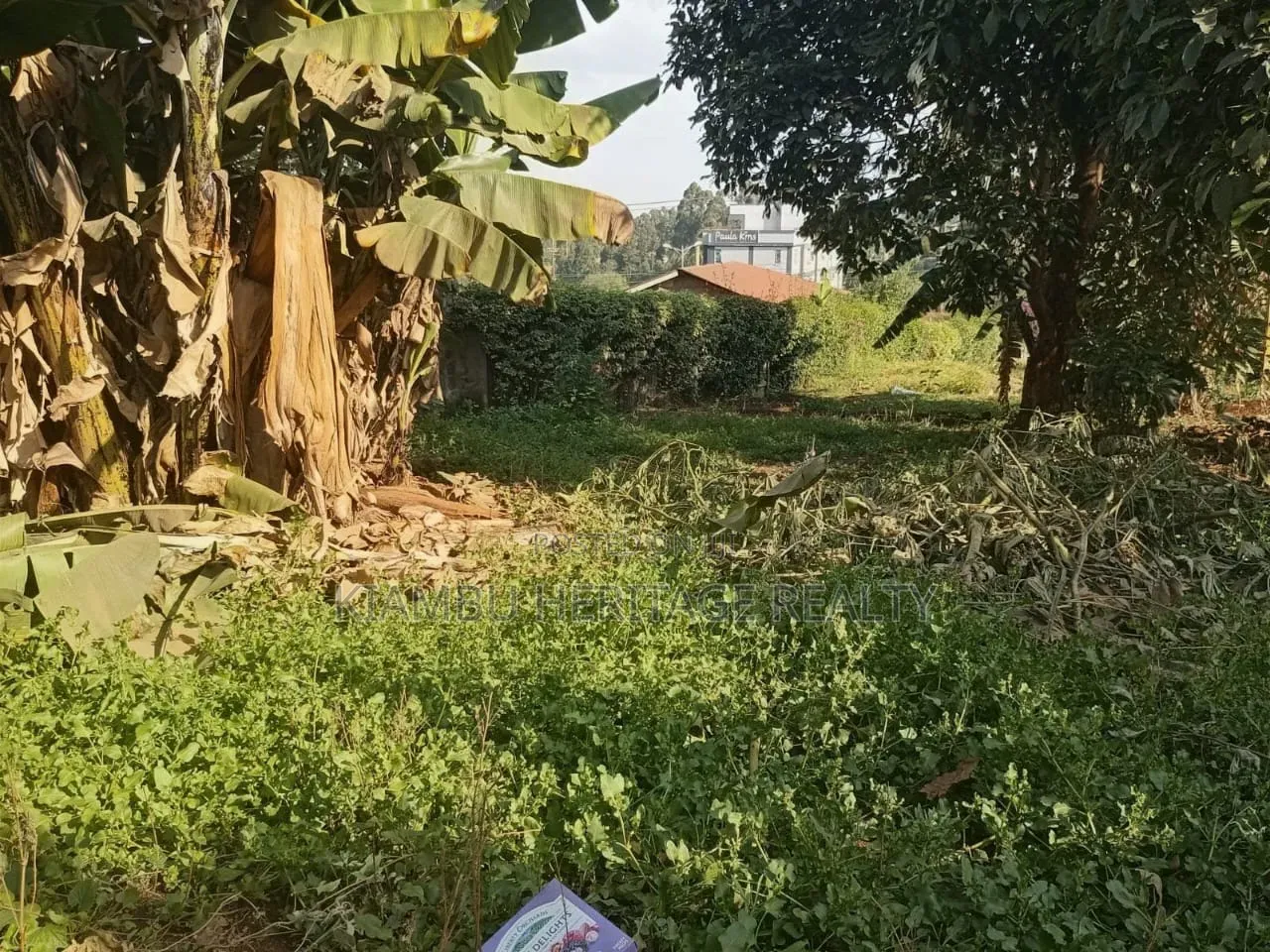 50*100 Prime Plot 100m From the Western Bypass Muthure