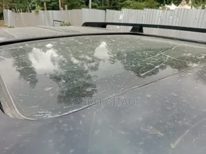 Nissan X-Trail 2006 Gray