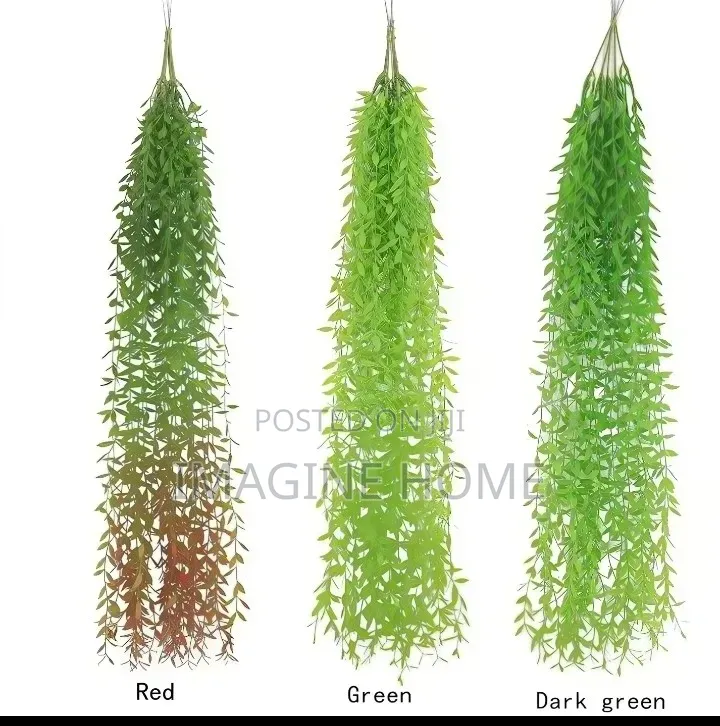 Willow Leaves Hanging Vines