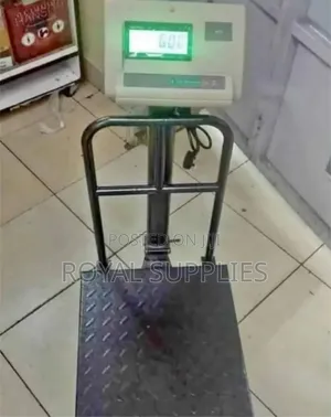 A12 Digital Platform Weighing Scale 300kg