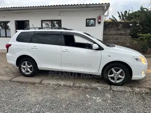 Toyota Corolla Fielder 2011 White