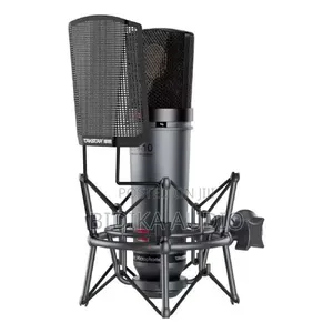 Takstar Sm-10 Studio-Grade Condenser Mic for Vocal Recording