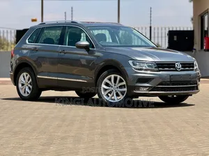 Volkswagen Tiguan 2.0T S FWD 2019 Gray