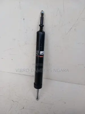 BMW E82 Rear Shocks