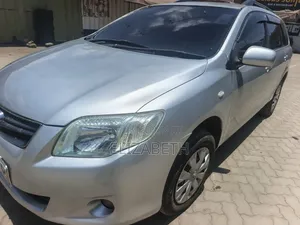 Toyota Corolla Fielder 2008 Silver