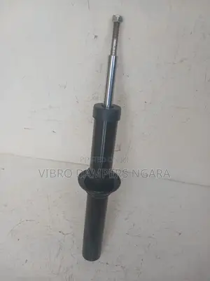BMW X5 E70 Front Shock