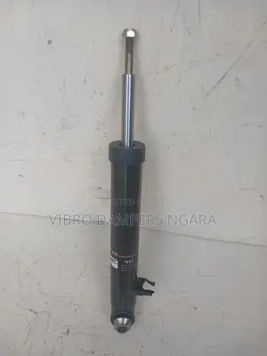 BMW X5 E70 Rear Shock