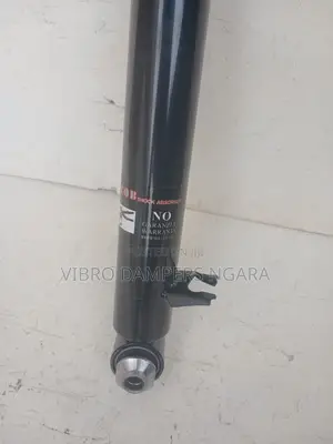 BMW X5 E70 Rear Shock