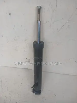 BMW X5 E70 Rear Shock