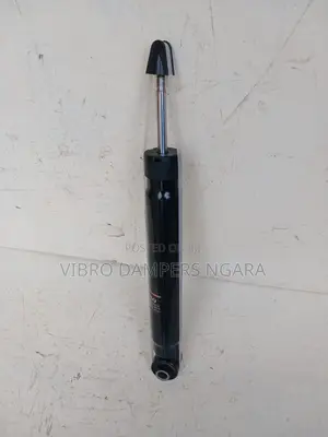 Audi A4 Rear Shocks
