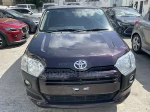 Toyota Probox 1.5 DX 4WD 2019