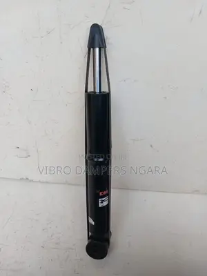 Audi A6 Rear Shock Absorbers