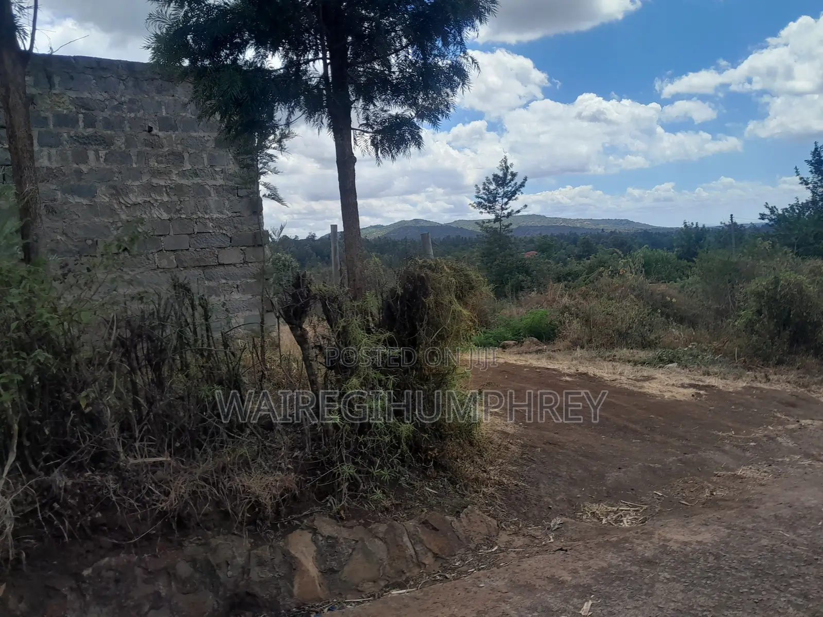 50 * 100 Plot for Sale. Murang'a Kambirwa