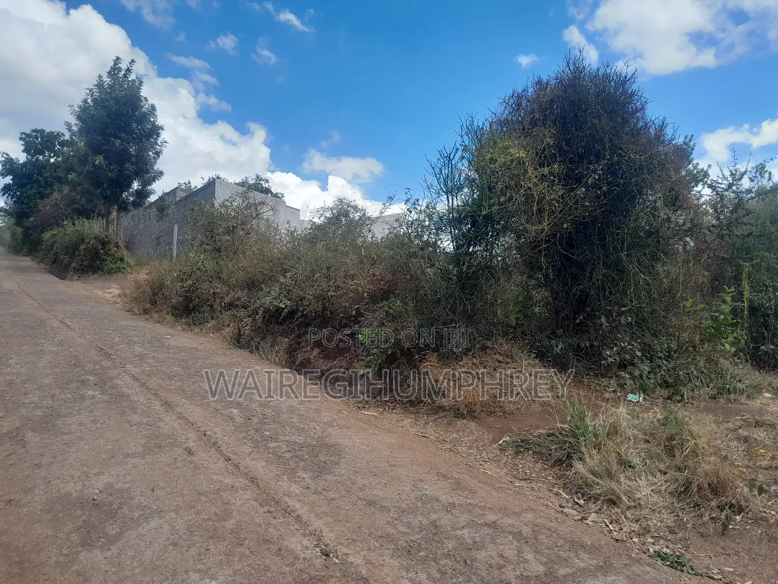 50 * 100 Plot for Sale. Murang'a Kambirwa