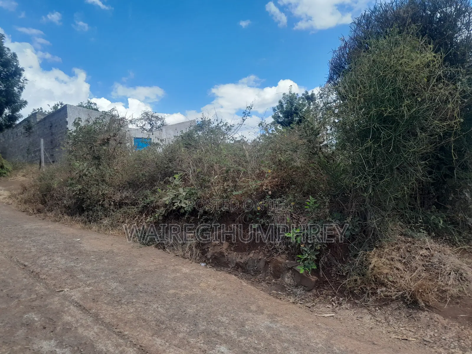 50 * 100 Plot for Sale. Murang'a Kambirwa