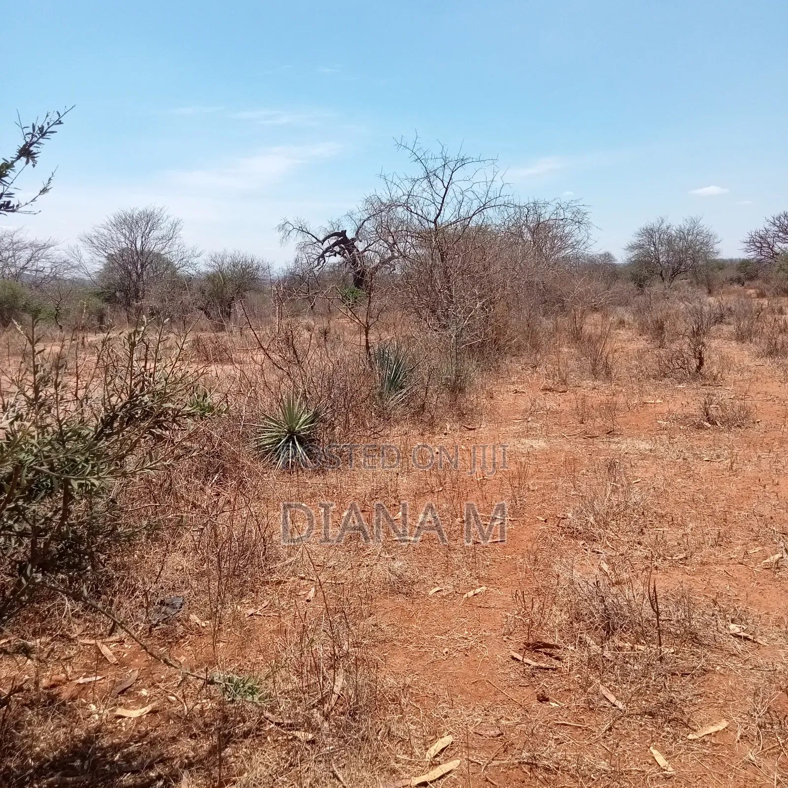 51 Acres for Sale in Makindu