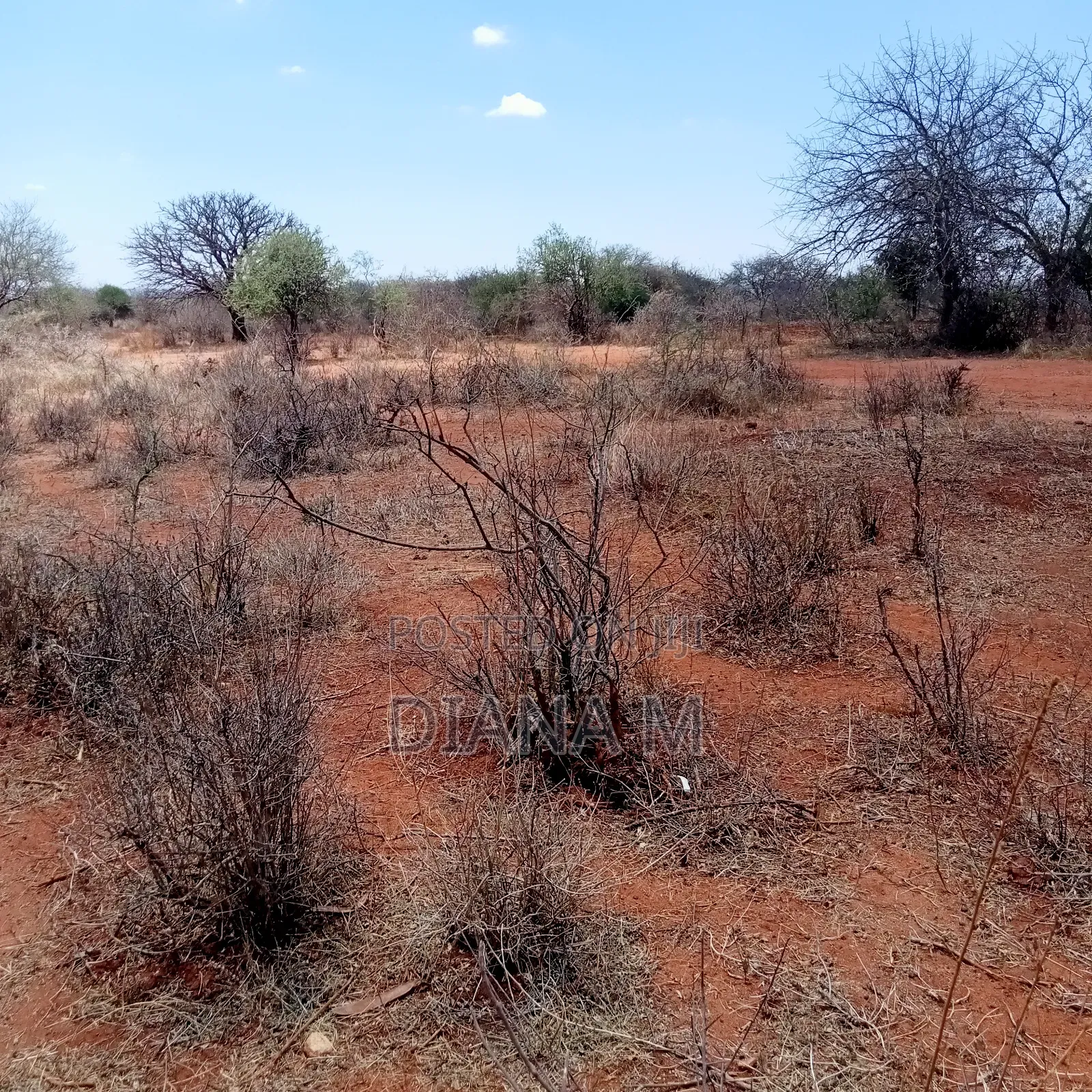 51 Acres for Sale in Makindu