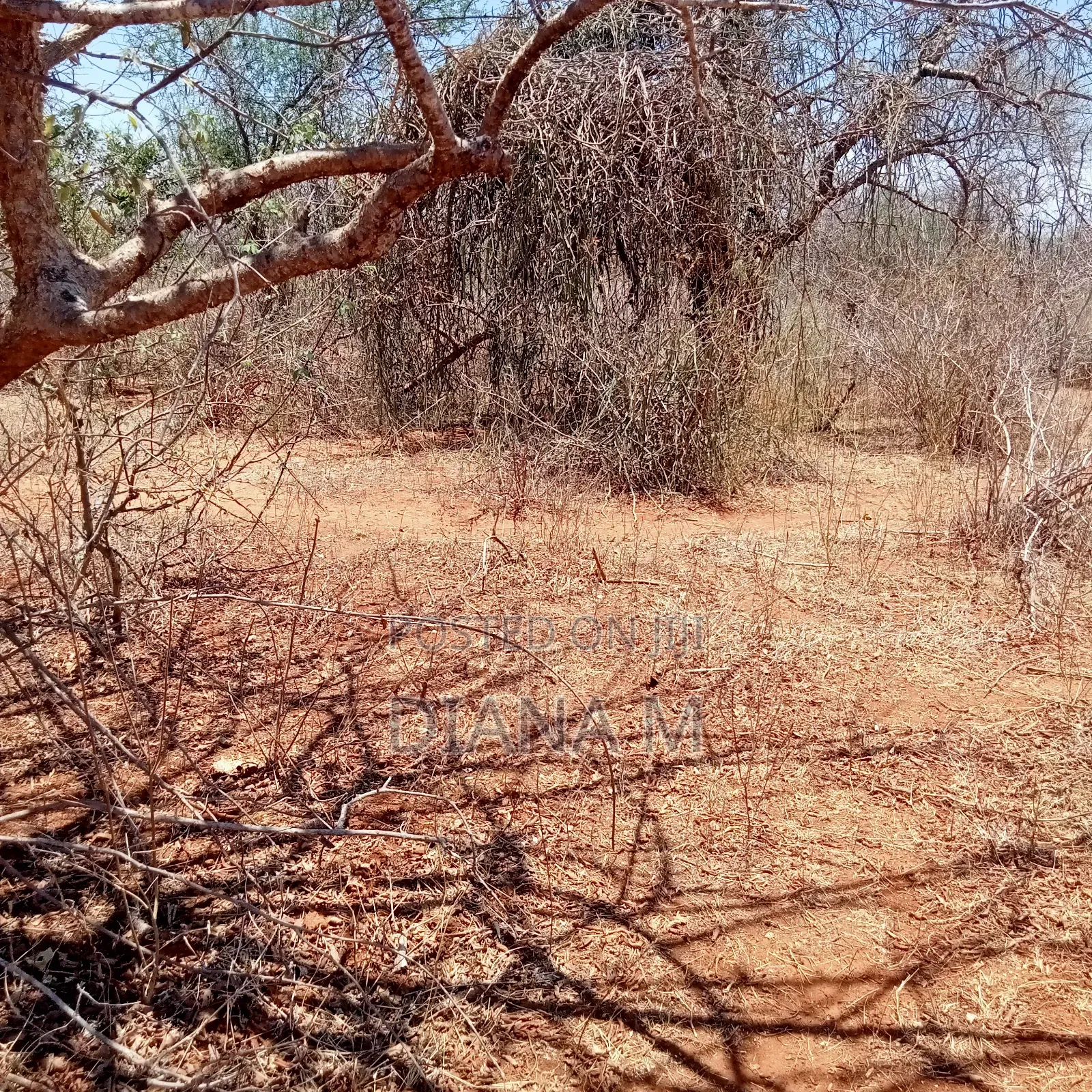 51 Acres for Sale in Makindu