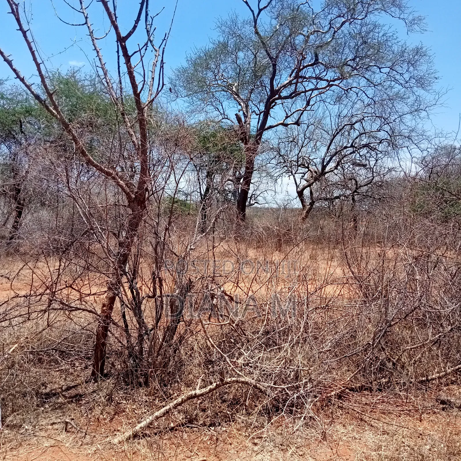51 Acres for Sale in Makindu