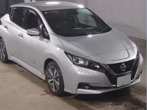 Nissan Leaf S 2020 Silver