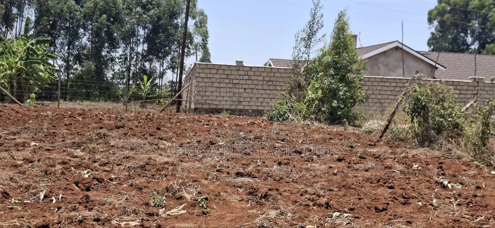 0.12 Hectares / 100×120 Ft Residential Land for Sale – Kikuyu Ng'amba,