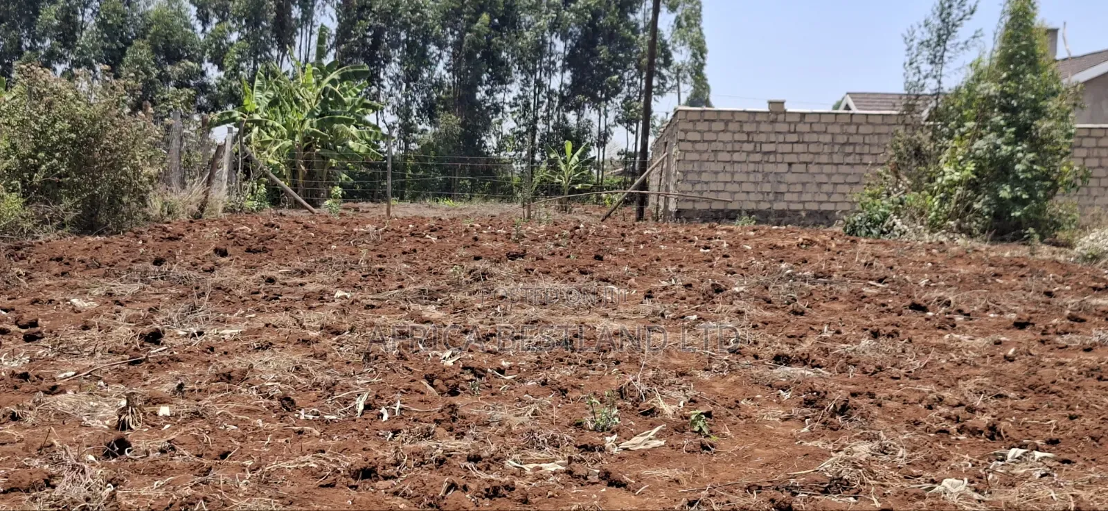 0.12 Hectares / 100×120 Ft Residential Land for Sale – Kikuyu Ng'amba,