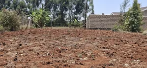 0.12 Hectares / 100×120 Ft Residential Land for Sale – Kikuyu Ng'amba,