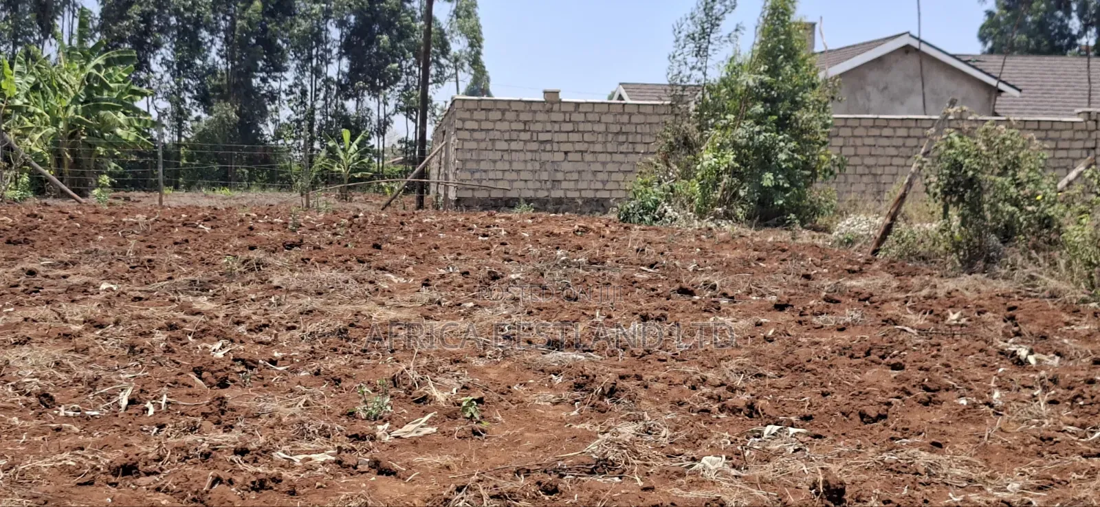 0.12 Hectares / 100×120 Ft Residential Land for Sale – Kikuyu Ng'amba,