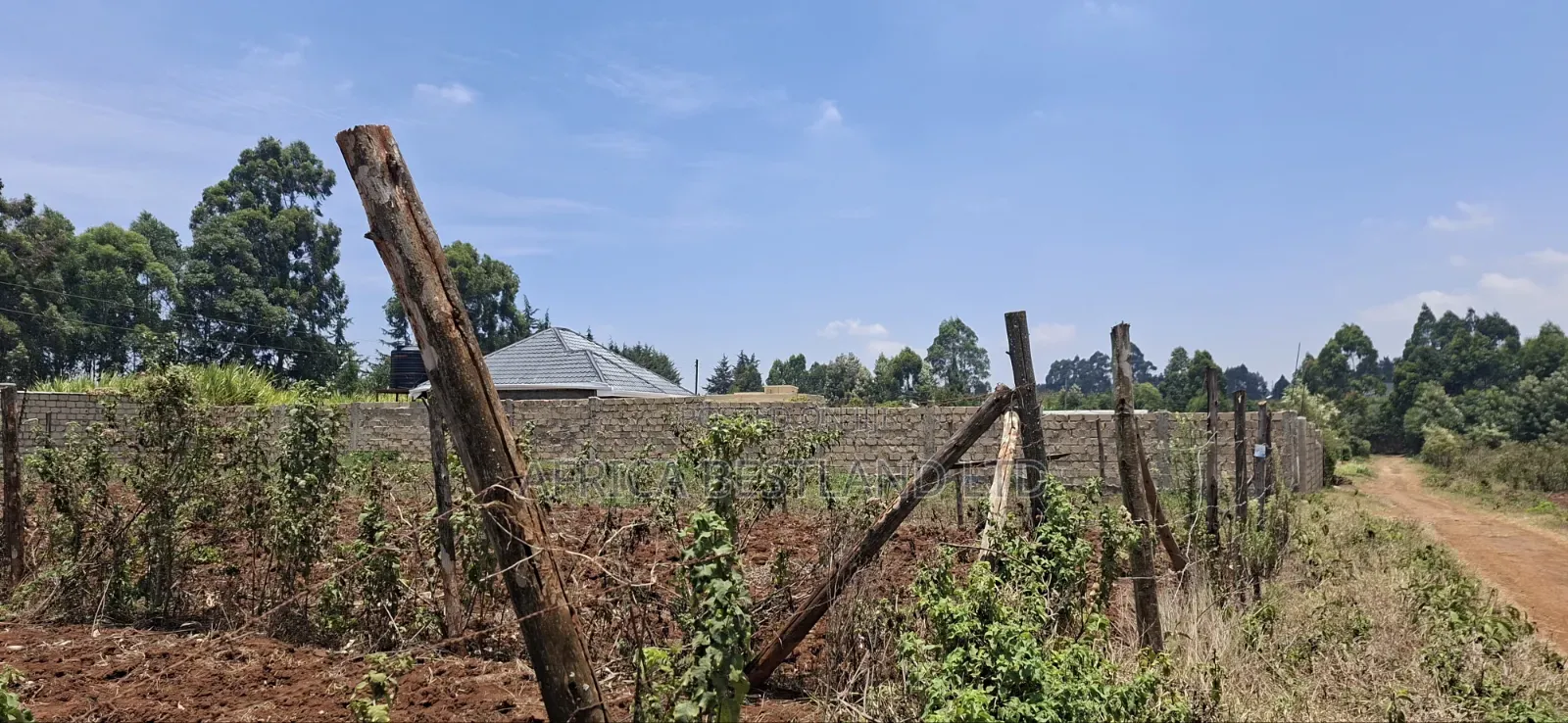 0.12 Hectares / 100×120 Ft Residential Land for Sale – Kikuyu Ng'amba,