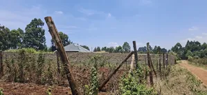 0.12 Hectares / 100×120 Ft Residential Land for Sale – Kikuyu Ng'amba,