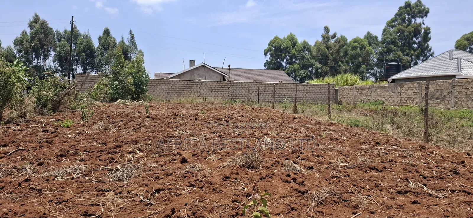 0.12 Hectares / 100×120 Ft Residential Land for Sale – Kikuyu Ng'amba,