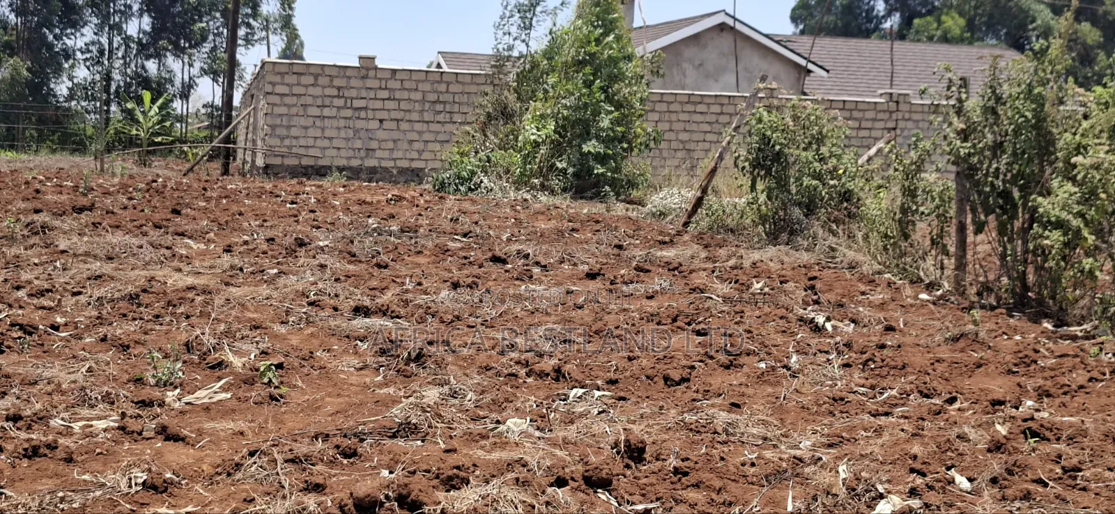 0.12 Hectares / 100×120 Ft Residential Land for Sale – Kikuyu Ng'amba,