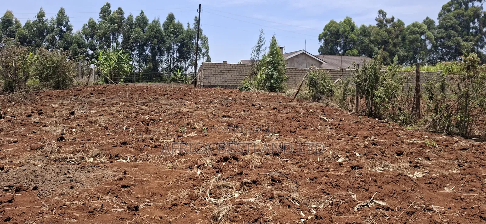 0.12 Hectares / 100×120 Ft Residential Land for Sale – Kikuyu Ng'amba,