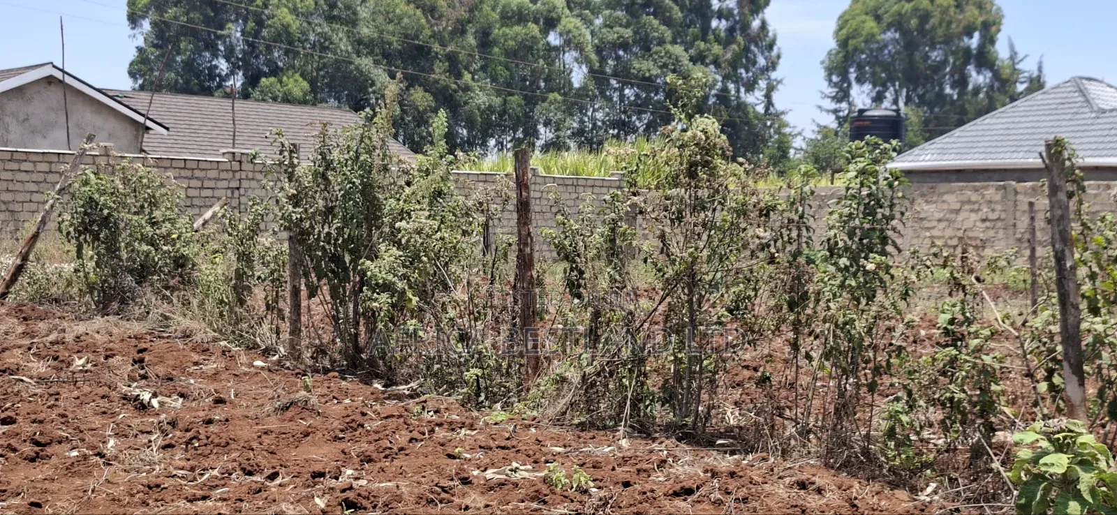 0.12 Hectares / 100×120 Ft Residential Land for Sale – Kikuyu Ng'amba,
