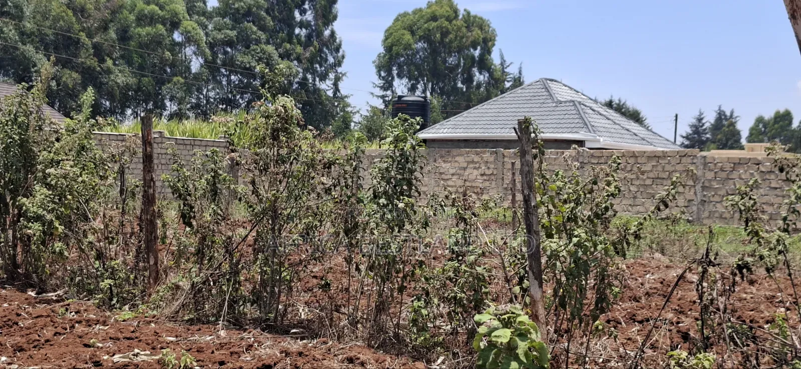 0.12 Hectares / 100×120 Ft Residential Land for Sale – Kikuyu Ng'amba,