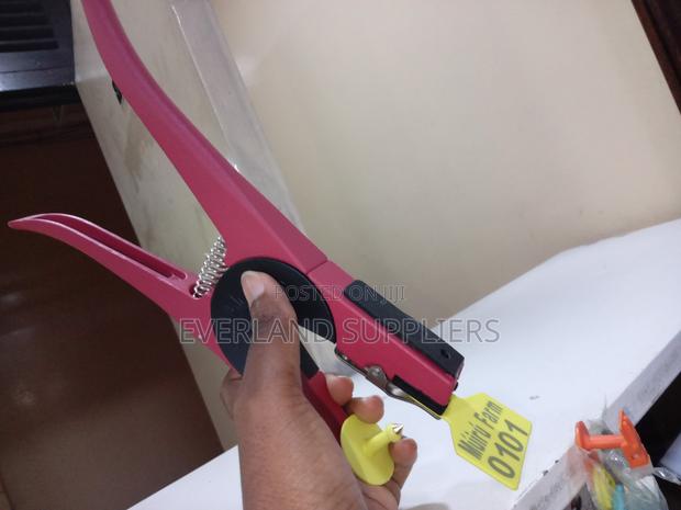 Rapid Tagging Applicator - main view