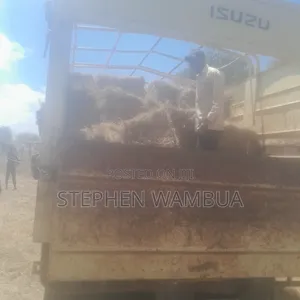 Hay Grass for Sale