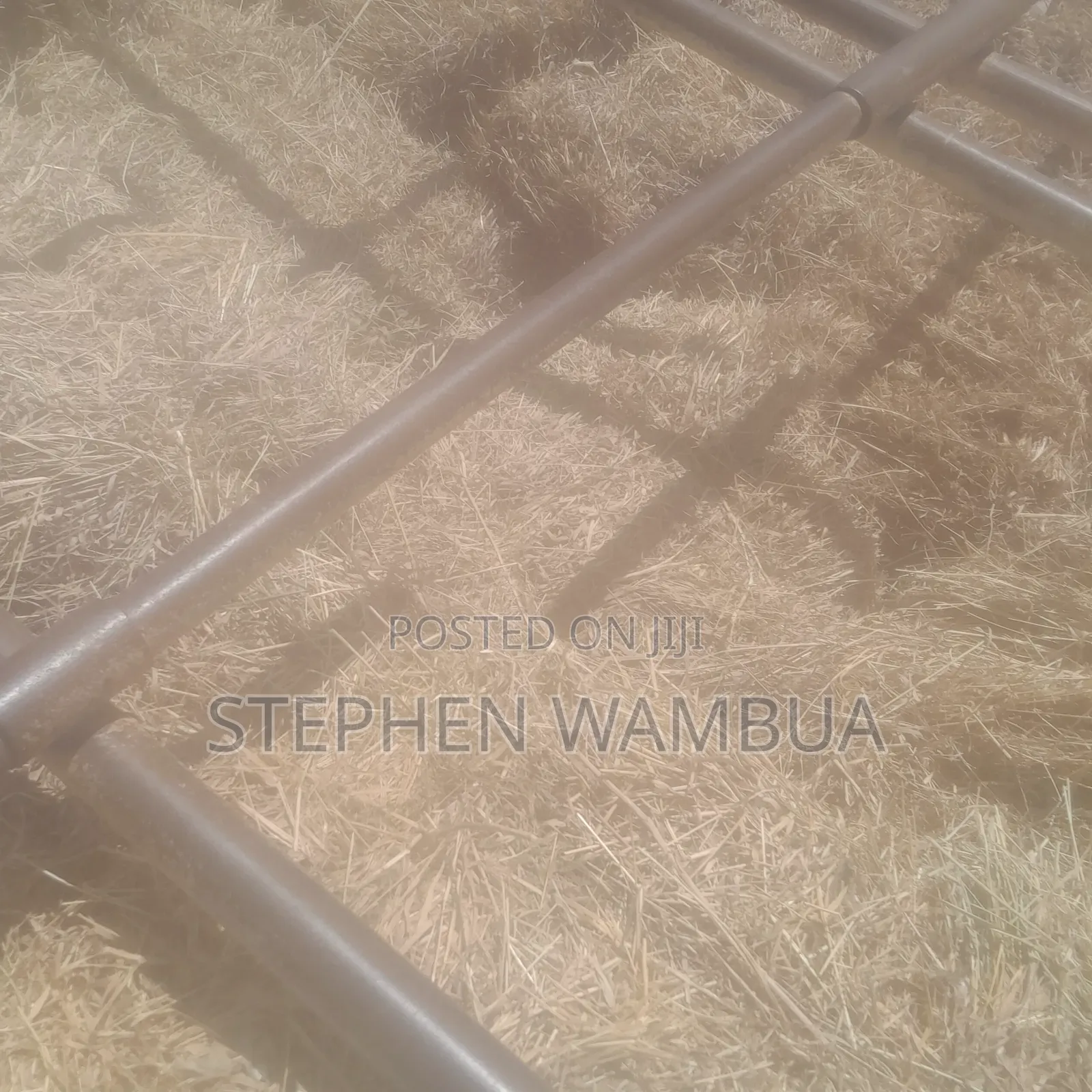 Hay Grass for Sale
