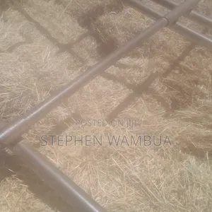 Hay Grass for Sale