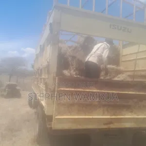 Hay Grass for Sale