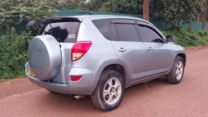 Toyota RAV4 2007 Silver