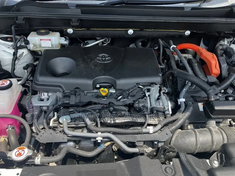 Toyota RAV4 2019 White
