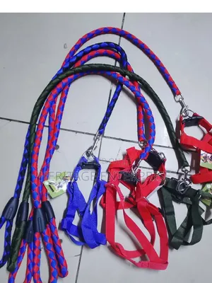 *Dog Leash / Dog Harness Green, Blue,black
