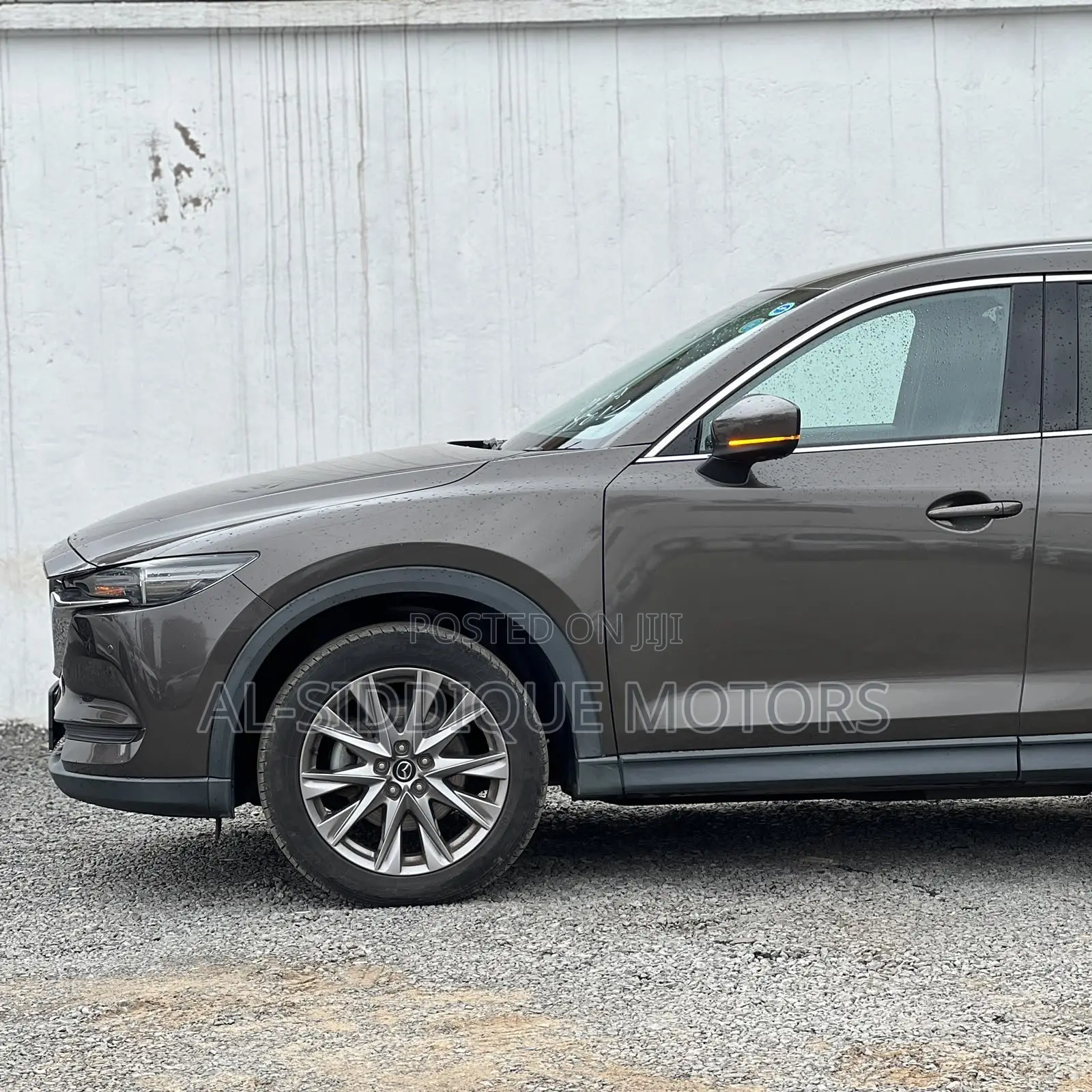 Mazda CX-8 2019 Brown